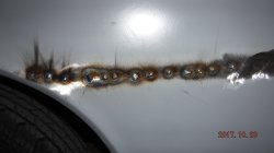 171020 67 Chevy El Camino (11).JPG